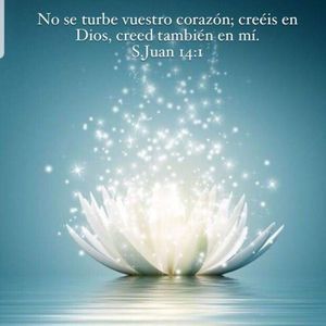 Meet your Posher, Mar esmeralda